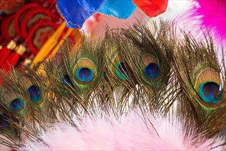 Tender beautiful bird feathers and pattern
