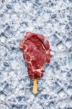 Raw beef rib steak with ice-cream stick on pieces of ice