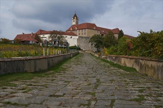 Access to Riegersburg Castle with vineyards and view of Kronegg High Castle