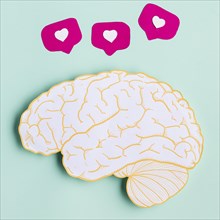 Top view paper brain shape. Resolution and high quality beautiful photo
