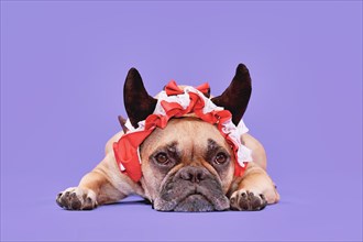 French Bulldog dog wearing red Halloween devil horn headband with ribbon on purple background