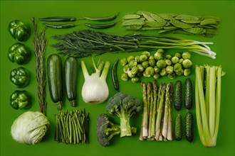 Rectangular composition with various green vegetables on green background