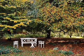 Seating group with white wooden furniture under trees in autumn