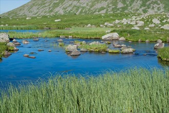Highland lake in green natural background in Artvin province of Turkey