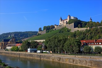 The Marienberg Fortress and the River Main