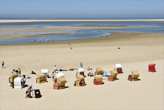Beach chairs in the sandy beach