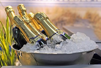 Chilled champagne bottles in a bowl with ice