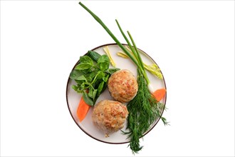Fish cutlet served with fresh carrot