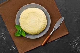 Overhead view of Adyghe cheese on the plate