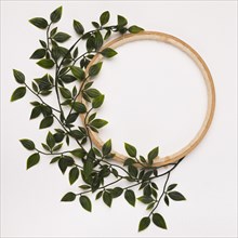 Green leaves decorated wooden circle frame against white backdrop