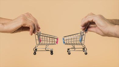 Hands holding small shopping carts
