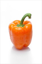 Sweet bell pepper with shadow on white background