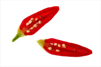 Baby jalapeno pepper cut on two half isolated on white background
