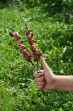 Hand with thumb up holding skewer with shashlik