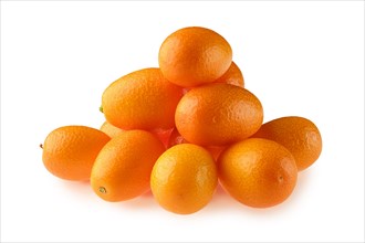 Heap of fresh kumquat isolated on white background