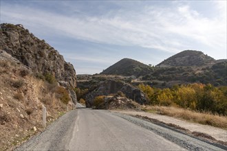 Road in the Troodos Mountains