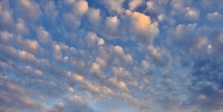 Stratocumulus cloud
