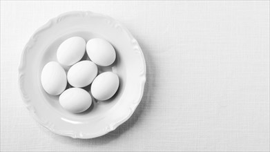 Top view white eggs plate with copy space. Resolution and high quality beautiful photo