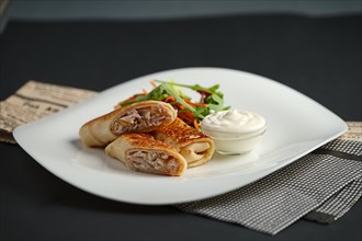 Thin flapjack stuffed with ham and cheese served with salad and sour cream