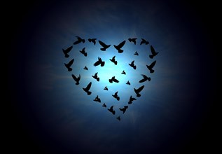 The inscription of the heart shape with birds in sky