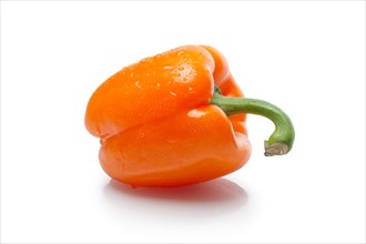 Sweet bell pepper with shadow on white background