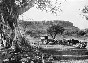 Landscape at the Waterberg in 1930