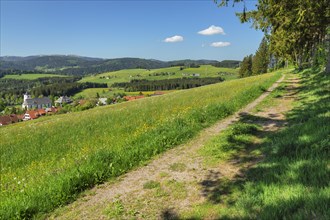View over Breitnau to the Feldberg in spring