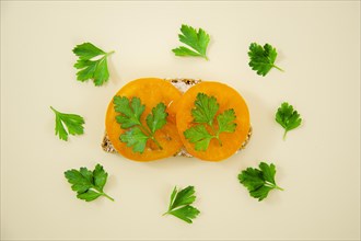 Tasty sandwich with parsley. Resolution and high quality beautiful photo