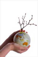 Hand holding a tree seedling on globe in hand on white background