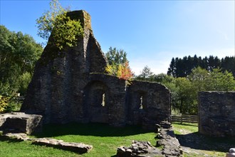 The ruins of the moated castle of Baldenau in the valley of the Dhron near Morbach in Hunsrueck