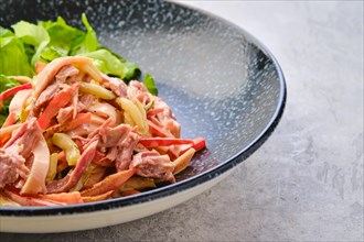 Closeup view of salad with pulled beef and vegetables