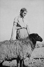 Farmer's daughter with the breeding sheep of the Karakul herd