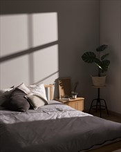 Minimalistic bed with interior plant