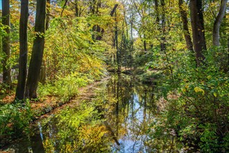 Watercourse in the English Garden in autumn