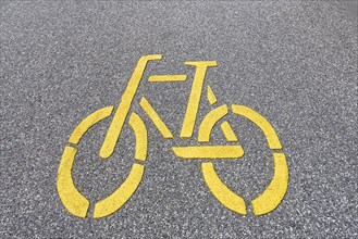 Marked bicycle lane