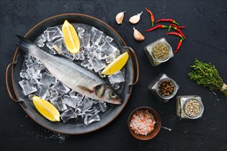 Raw seabass fish with spice and herbs on wooden background