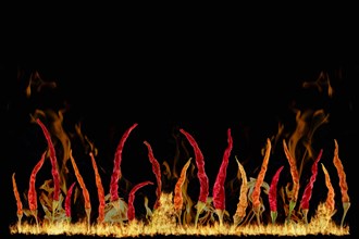 Composite image of hot chilli pepper and fire flames on black background