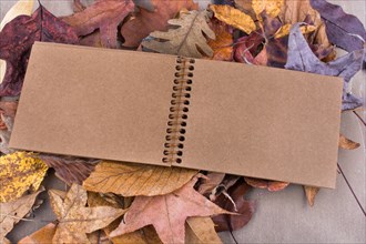 Open blank notebook with fallen autumn leaves as a background