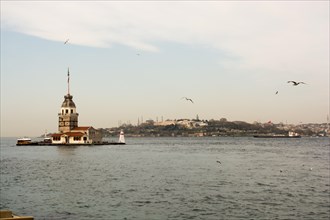 Maiden's Tower located in the Bosphorus surrounded by Seagulls