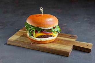 Tasty grilled beef burger with lettuce