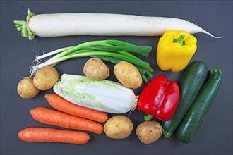 Top view of mix of various raw vegetables like spring onion