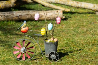Blue Tit on Bicycle with Pot and Easter Eggs Sitting in Green Grass Seen at Right