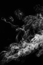 Wavy smoke black background. Resolution and high quality beautiful photo