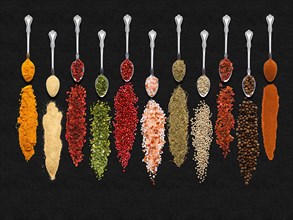Various seasonings and herbs in spoons on dark background