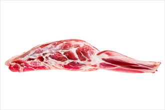 Raw fresh lamb leg bone in