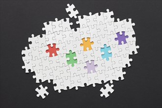 Diversity arrangement with different pieces puzzle