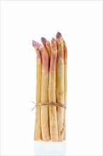 Bunch of asparagus stalks isolated on white background