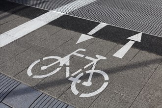 Pictogram cycle lane in both directions