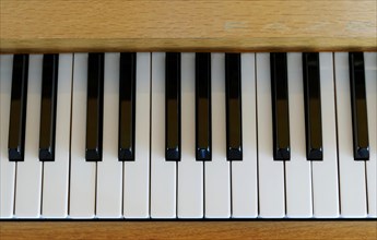 Keys of an acoustic piano