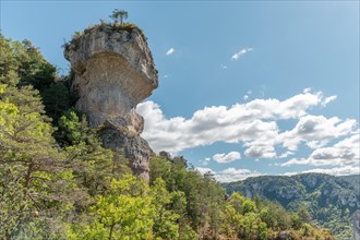 Spectacular rock in the Gorges de la Jonte in the Cevennes National Park. Aveyron
